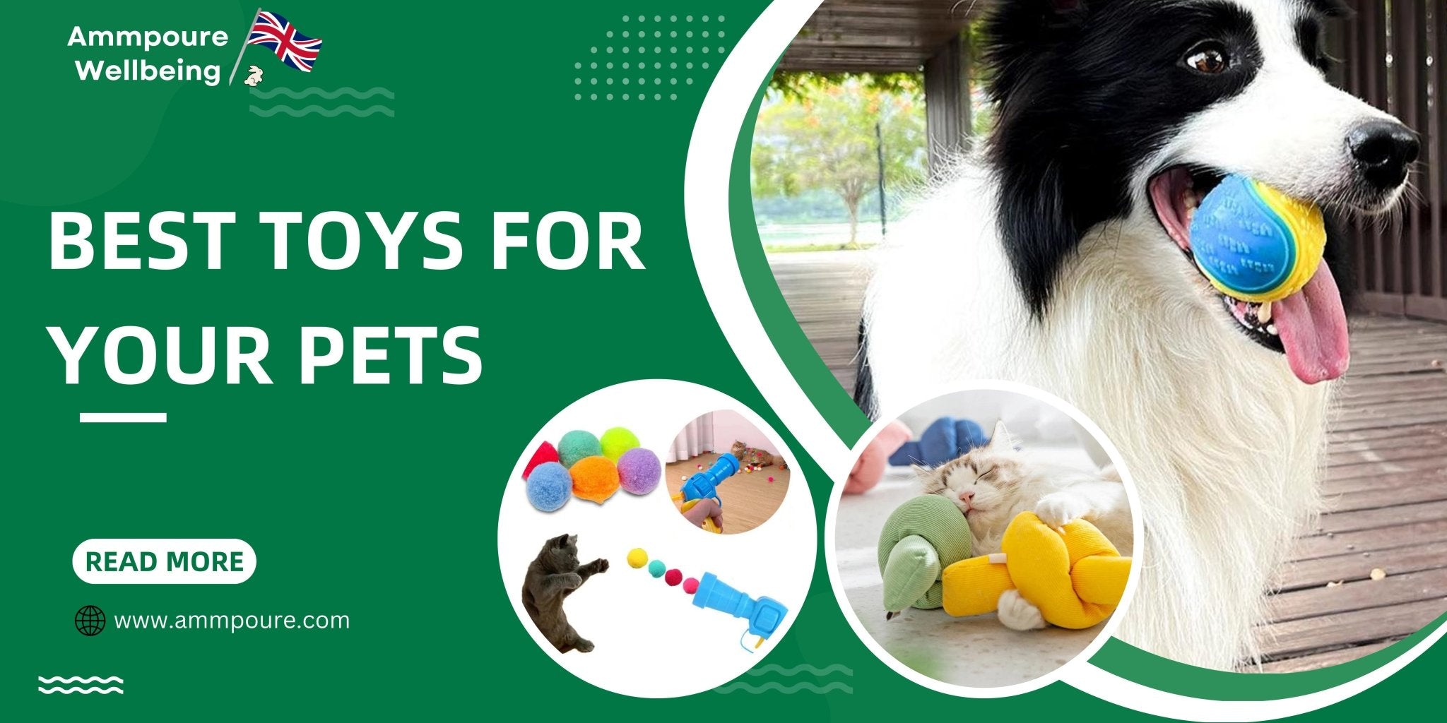 The Ultimate Guide to the Best Toys for Your Cats and Dogs - Ammpoure Wellbeing