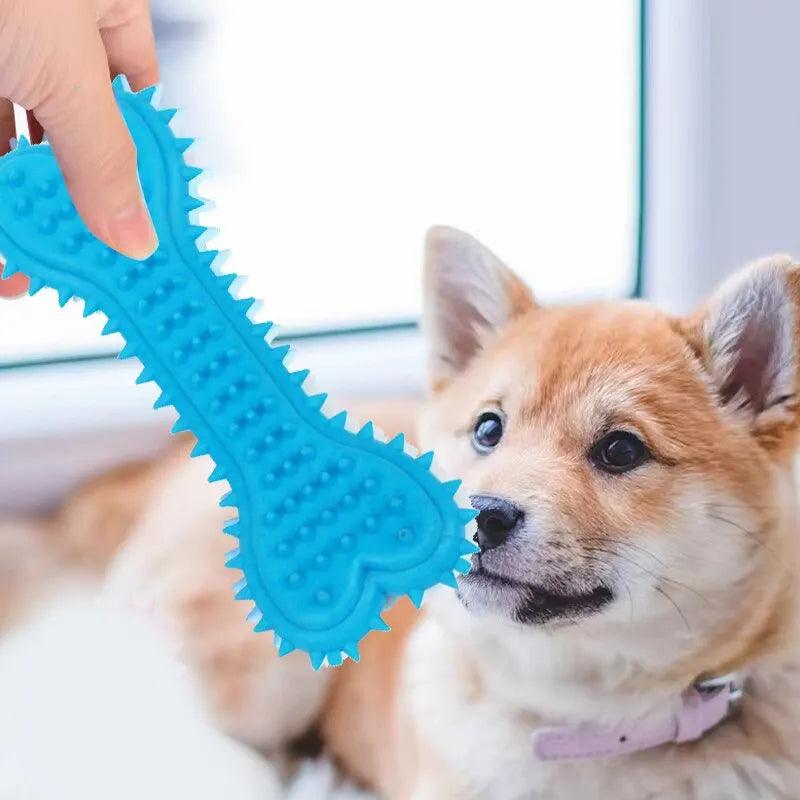 1PC Pet Chew Toy Soft Rubber Bite - resistance Bone Shape Teeth Grinding Chewing Toys for Small Dogs Training Pet Supplies - Ammpoure Wellbeing