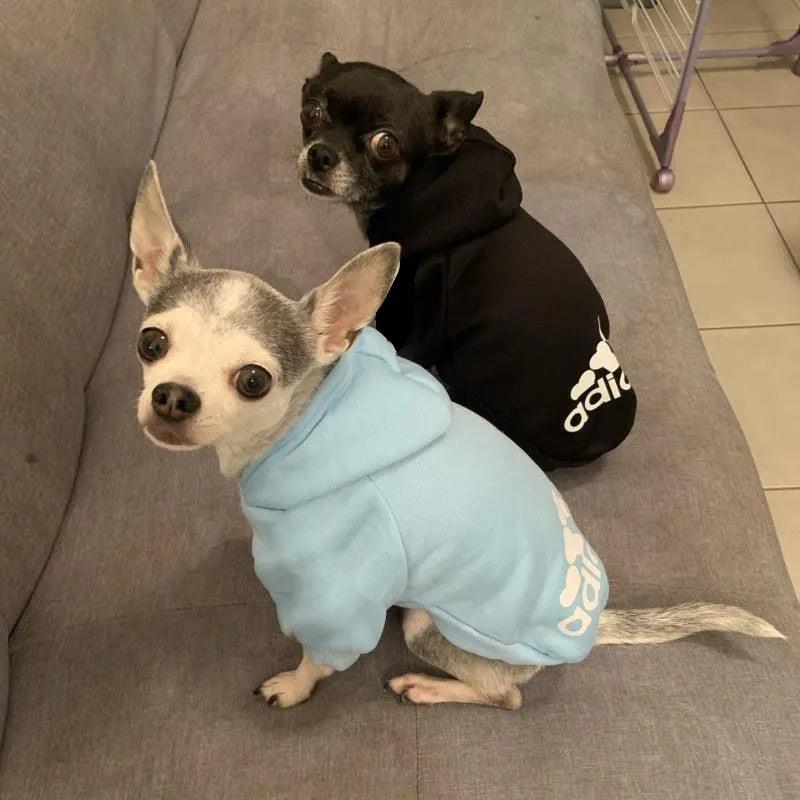 2024 Winter Pet Dog Clothes Dogs Hoodies Fleece Warm Sweatshirt Small Medium Large Dogs Jacket Clothing Pet Costume Dogs Clothes - Ammpoure Wellbeing