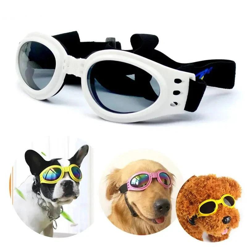 Adjustable Pet Dog Sunglasses Collapsible Padded Goggles Accessories for Medium Dogs Motorcycle Glasses Suministros Para Perros - Ammpoure Wellbeing