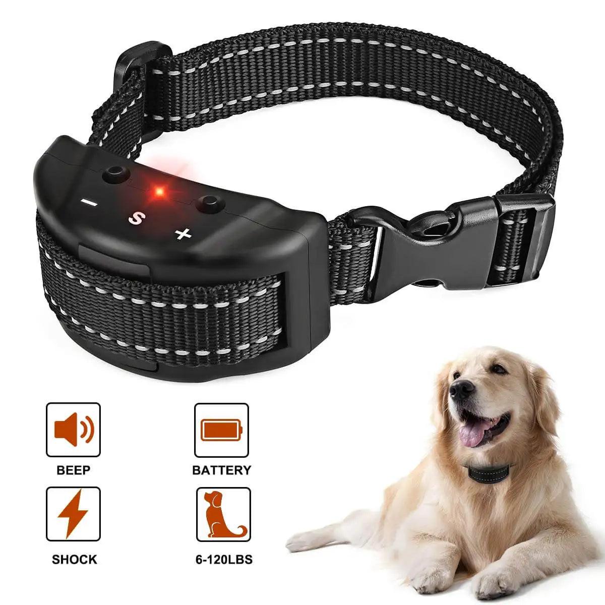 Anti Bark Collar Small Pet Dog No Barking Tone Shock Training,Indoor Outdoor Little Dogs Teaching Tool Electric - Ammpoure Wellbeing