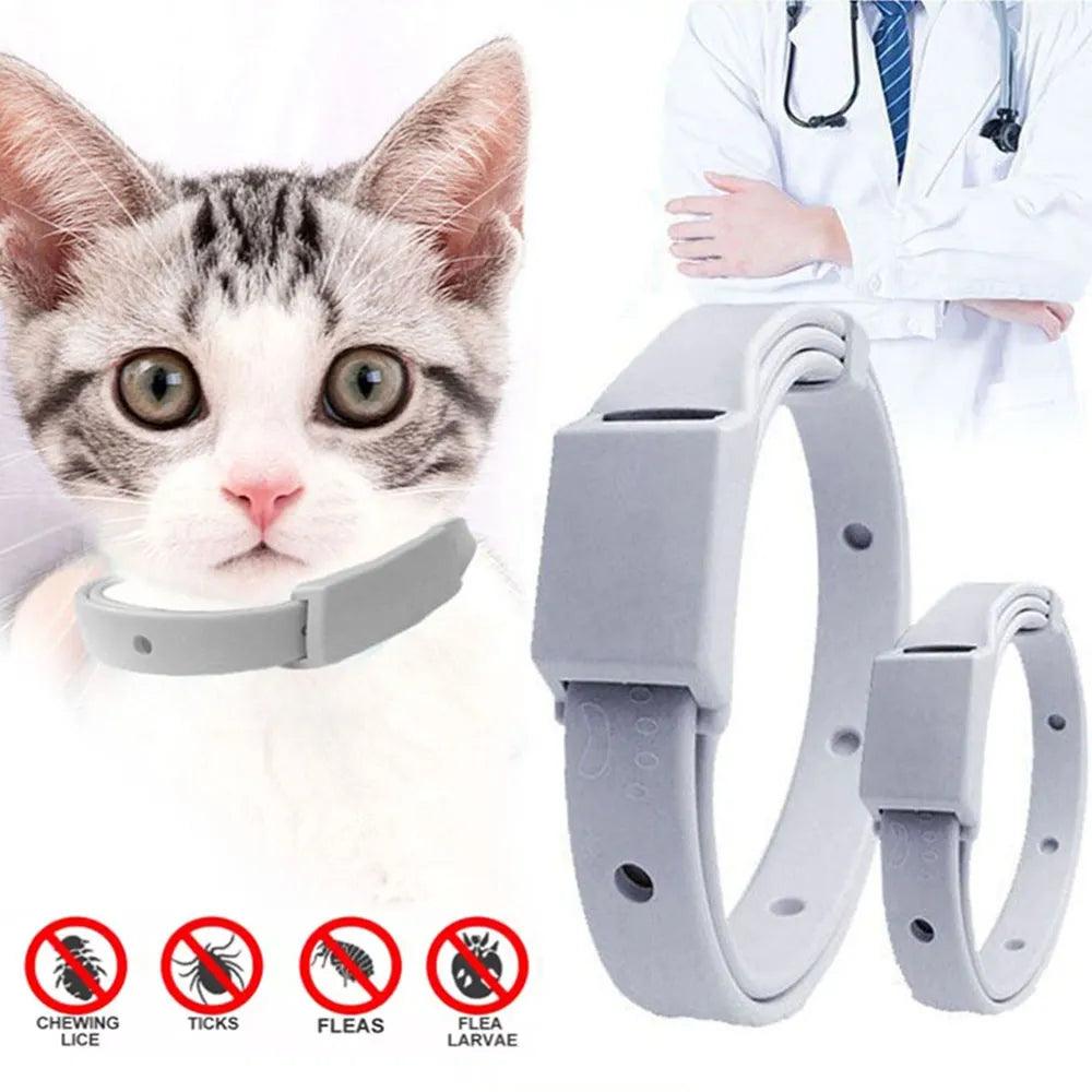 Anti Flea Tick Collar For Cat Small Dog Antiparasitic 8Month Protection Adjustable Puppy Kitten Collar Breakaway Pet Accessories - Ammpoure Wellbeing