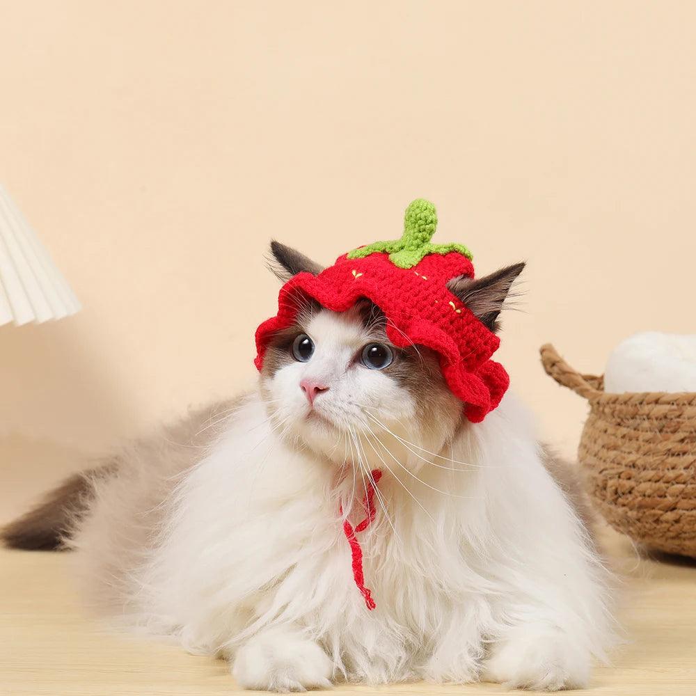 Autumn Winter Cat Hat Elastic Cute Refined Pet Hat Puppy Kittens Knitted Hat Party Photo Shoot Props Decoration Cat Accessories - Ammpoure Wellbeing