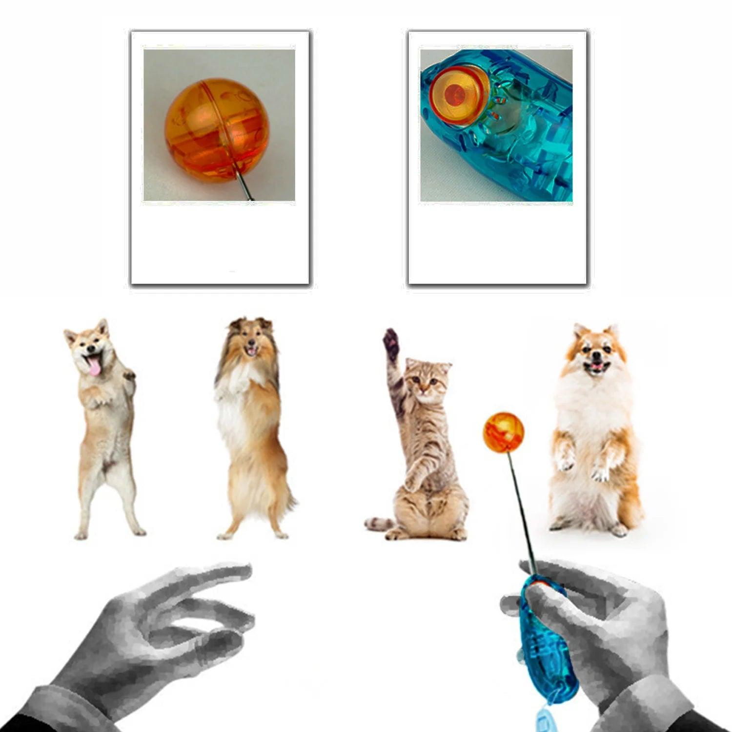 Behogar Novelty Stretchable Design Pet Dog Cat Training Clicker Agility Clickers Bird Whistle Commander Supply Accessory - Ammpoure Wellbeing