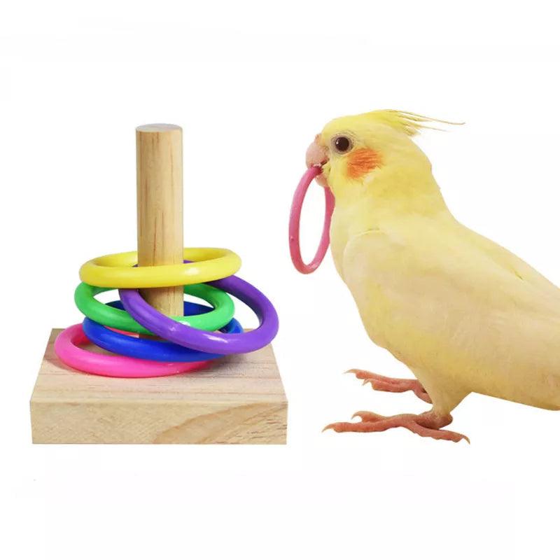 Bird Training Toys Set Wooden Block Puzzle Toys For Parrots Colorful Plastic Rings Intelligence Training Chew Toy Bird Supplies - Ammpoure Wellbeing