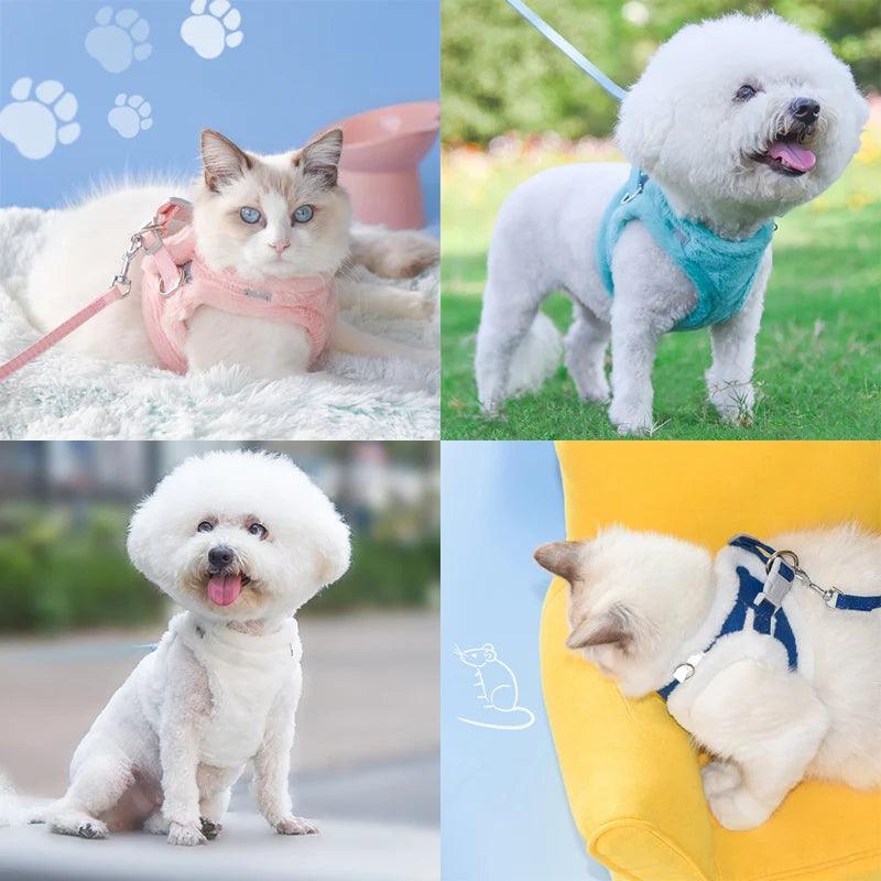 Cat Puppy Harness and Leash Sets Winter Warm Pet Reflective Harnesses Vest for Cats Kitten Small Dogs Yorkshire - Ammpoure Wellbeing