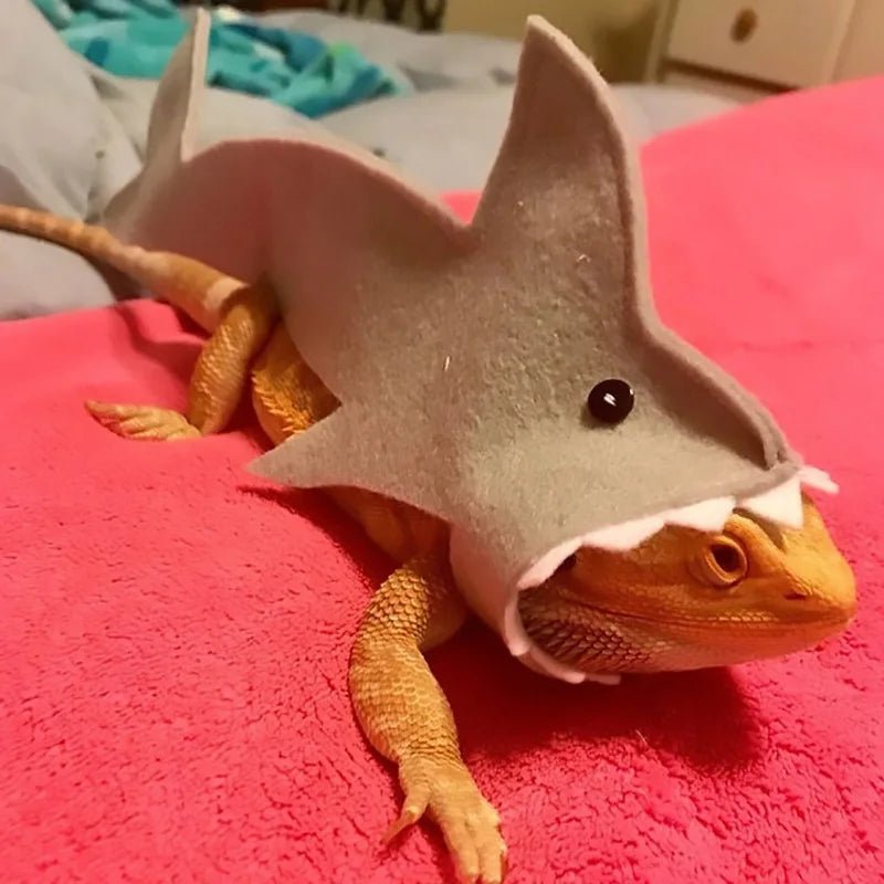 Cute Shark Shape Lizard Chameleon Shark Clothes Small Pet Clothes Gecko Costume for Bearded Dragon Reptiles Clothes Accessories - Ammpoure Wellbeing