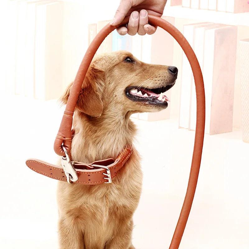 Dog Collar Leash Set Harness Pet Collar Leather Large Dog Puppy Accessories Pets Supplies German Shepherd Golden Retriever - Ammpoure Wellbeing