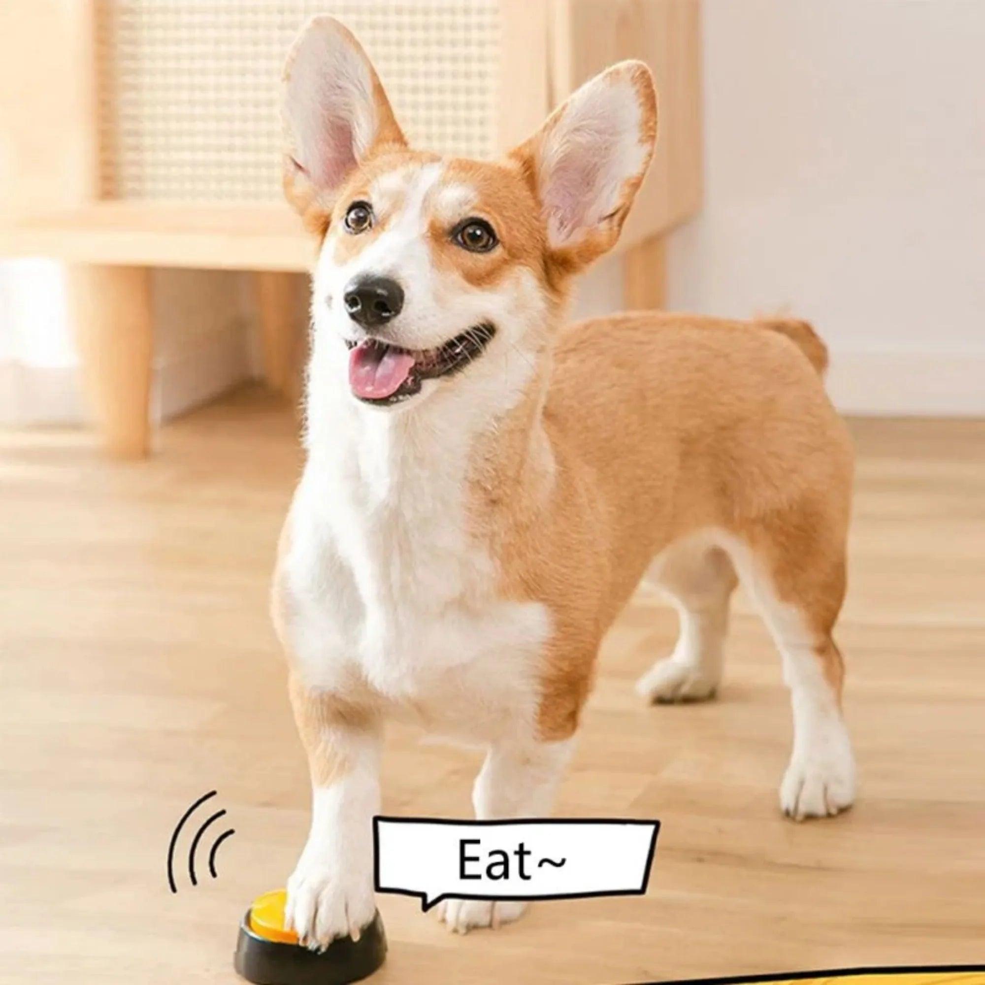 Dog Communication Buttons Voice Recording Button for Pet Training Buzzer 30 Second Record Playback Funny Gift for Talking - Ammpoure Wellbeing