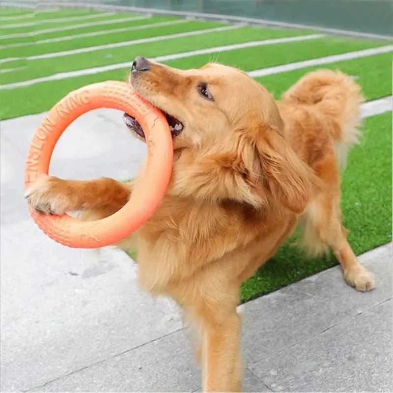 Floating Water Dog Toys Pet Flying Disk Training Ring Interactive Toy Puller Resistant Aggressive Chewing for Small Medium Dogs - Ammpoure Wellbeing