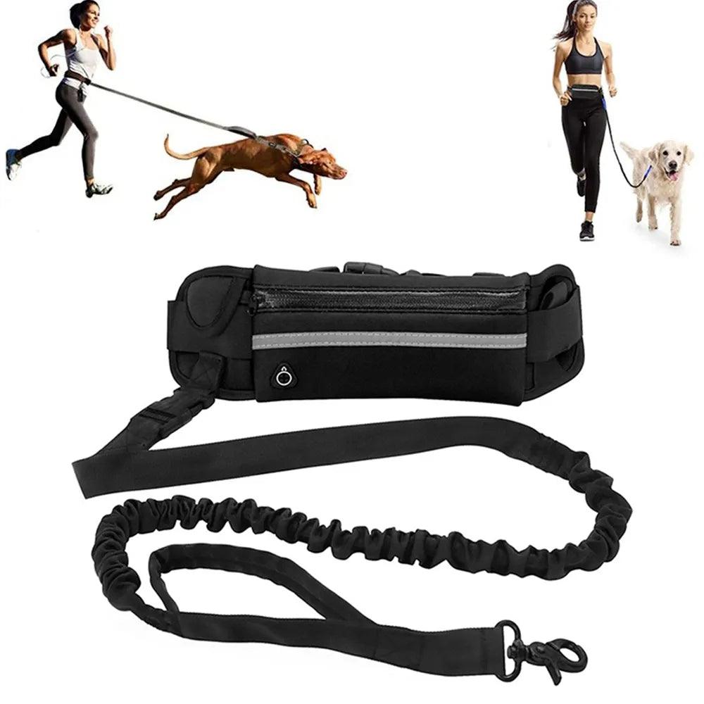 Hands Free Dog Leash for Running Walking Reflective Leash with Waist Bag Retractable Elastic Belt Dog Traction Rope Pet Products - Ammpoure Wellbeing