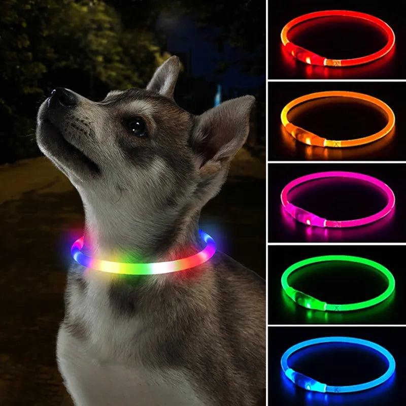 Led Dog Collar Luminous Usb Cat Dog Collar 3 Modes Led Light Glowing Loss Prevention LED Collar For Dogs Pet Dog Accessories - Ammpoure Wellbeing