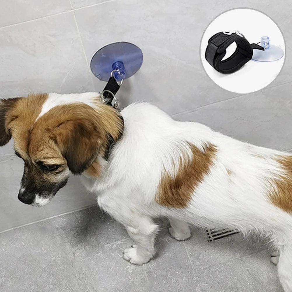 Pet Bath Fixation Strap with Sucktion Cup Cat Dog Shower Restraint Leash Anti Scratch Escaping Leash Pet Bathing Grooming Tool - Ammpoure Wellbeing