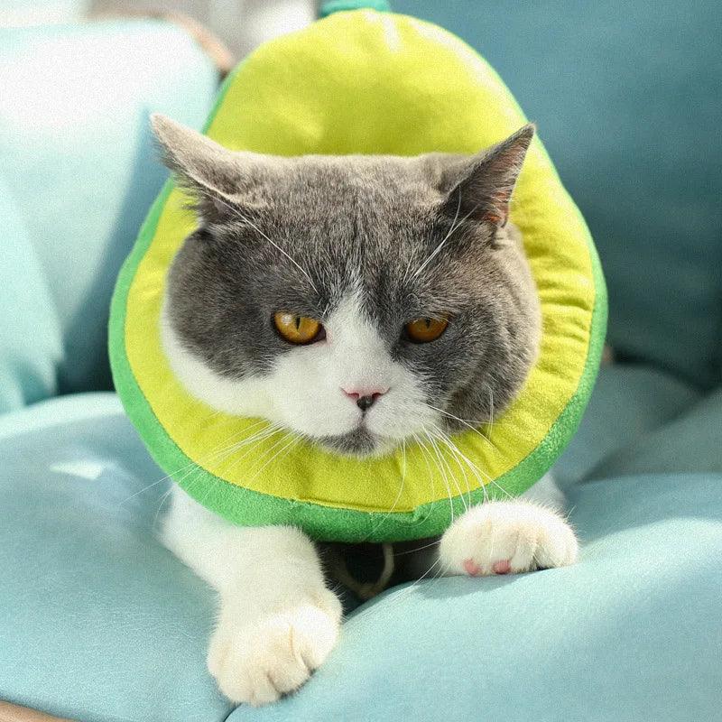 Pet Cat Dog Elizabeth Circle Collar Fruit Shape Cotton Adjustable Postoperative Protection Anti - Scratch Biting Pet Head Cover - Ammpoure Wellbeing