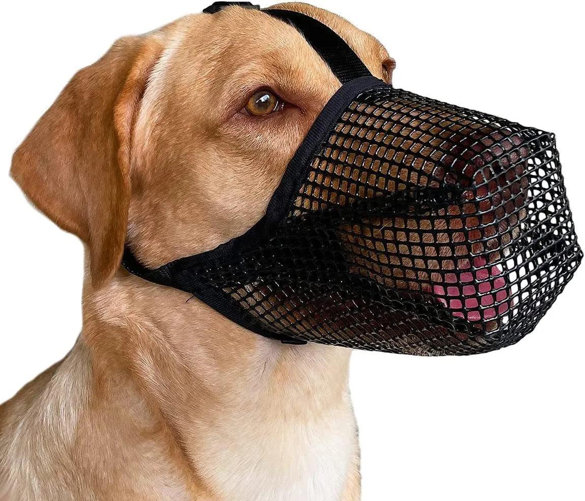 Pet Dog Muzzles Adjustable Breathable Dog Mouth Cover Anti Bark Bite Mesh Dogs Mouth Muzzle Mask For Dogs Long Mouth Doggy Use - Ammpoure Wellbeing