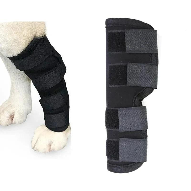 Pet Knee Pads Dog Support Brace For Leg Injury Recover Hock Joint Wrap Breathable Dog Legs Protector Support Health - Ammpoure Wellbeing