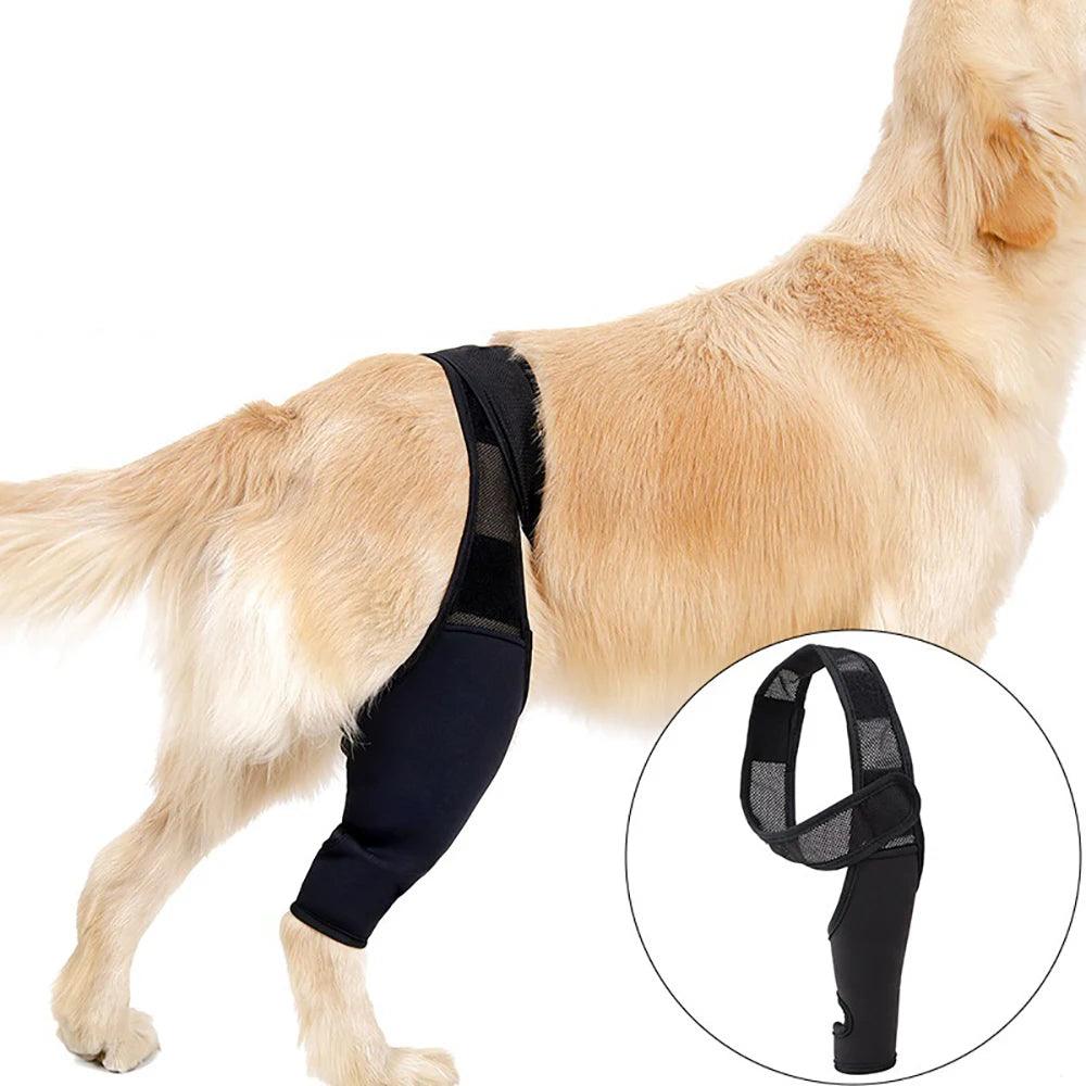 Pet Knee Pads Dog Support Brace For Leg Injury Recover Hock Joint Wrap Breathable Dog Legs Protector Support Health - Ammpoure Wellbeing