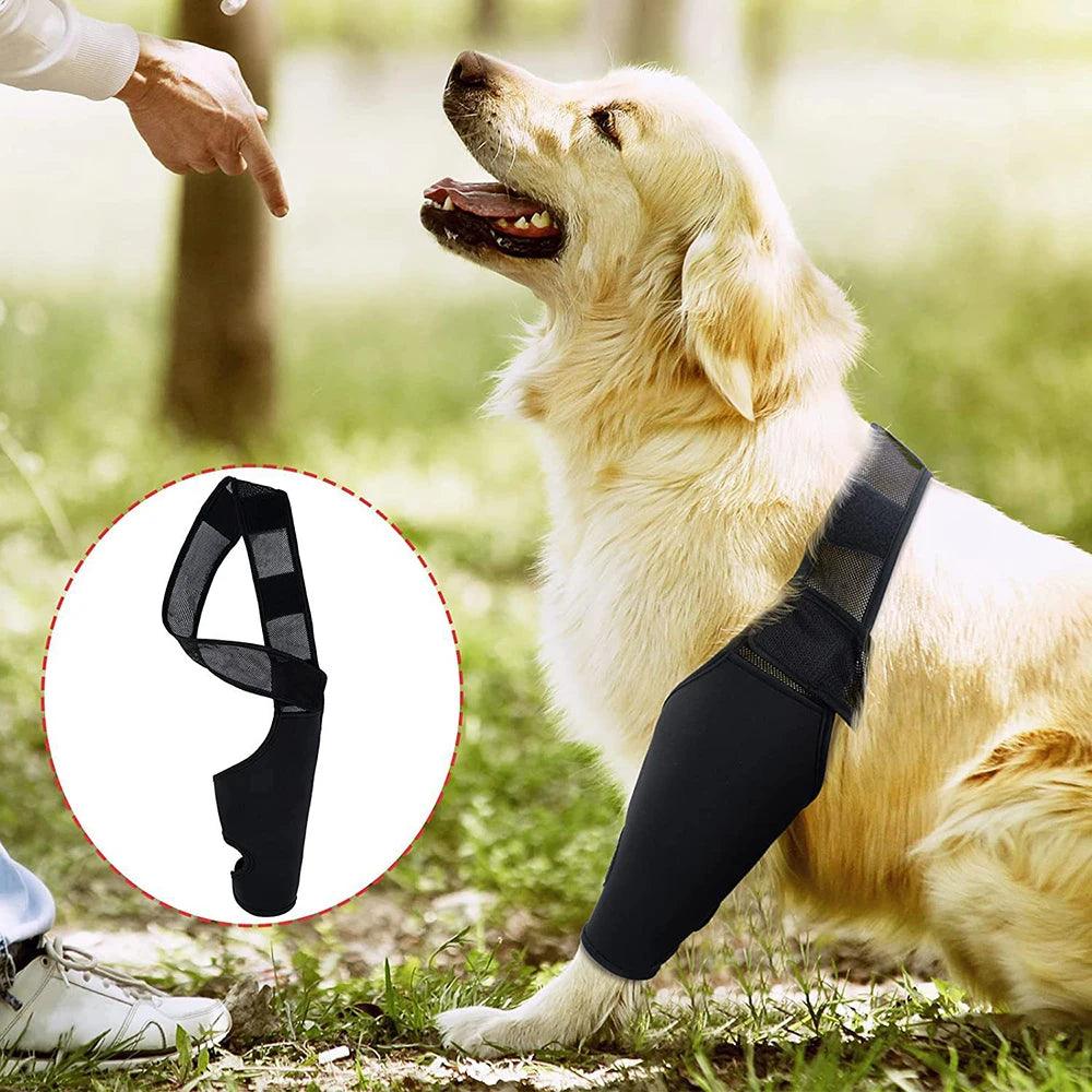 Pet Knee Pads Dog Support Brace For Leg Injury Recover Hock Joint Wrap Breathable Dog Legs Protector Support Health - Ammpoure Wellbeing