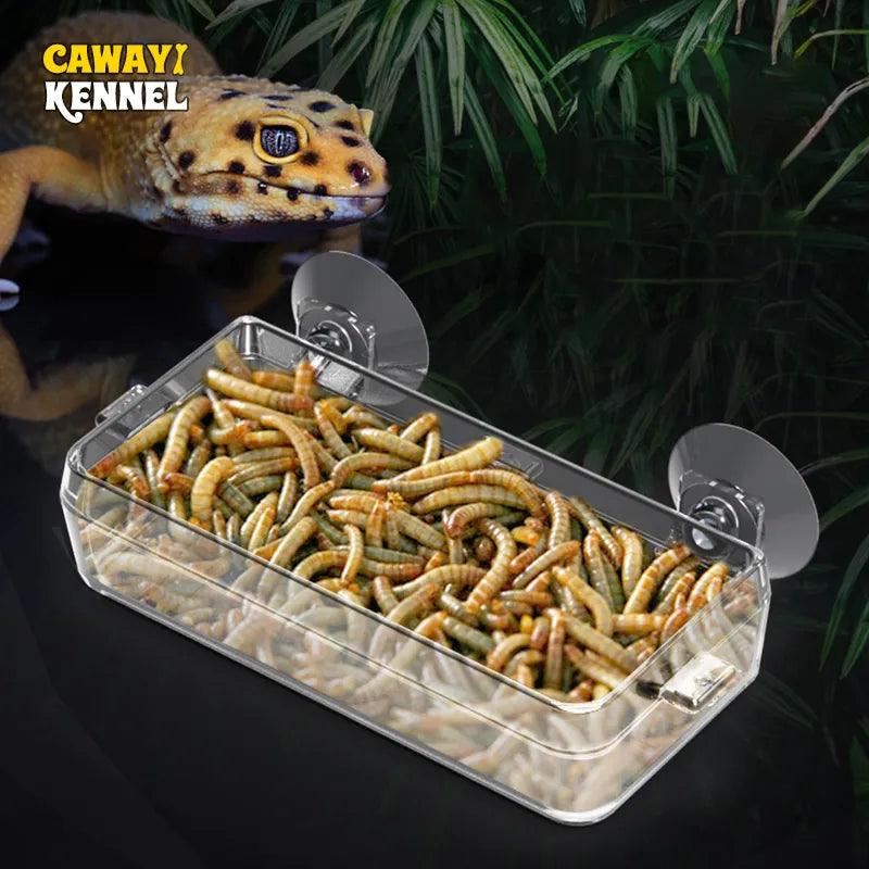 Pet Reptile Transparent Feeder Anti - escape Food Bowl Worm Live Container With Strong Suction Cups Pet Supplies - Ammpoure Wellbeing