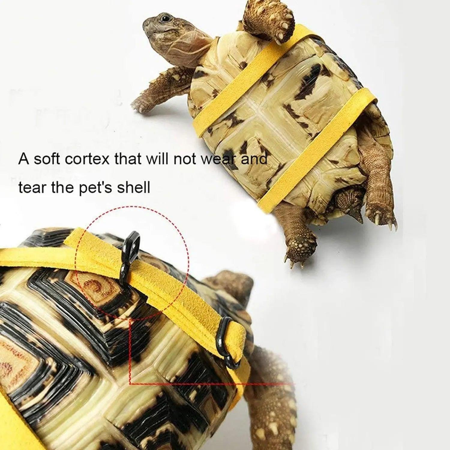 Pet Tortoise Turtle Leather Harness Strap Adjustable Turtle Lizard Strap Collar Walking Leash Control Rope - Ammpoure Wellbeing