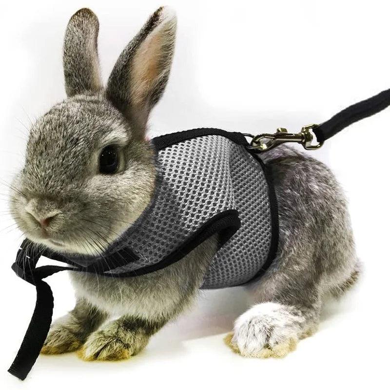 Puppy Bowknot Chest Strap Pet Rabbit Harness Vest and Leash Set For Ferret Guinea Pig Bunny Hamster Harness Pet Supplies - Ammpoure Wellbeing