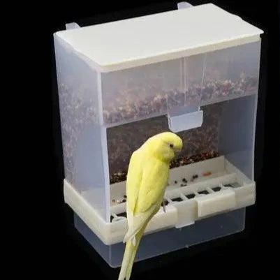 Removable Feeder Pet Bird Container Parrot Hanging Automatic - Ammpoure Wellbeing