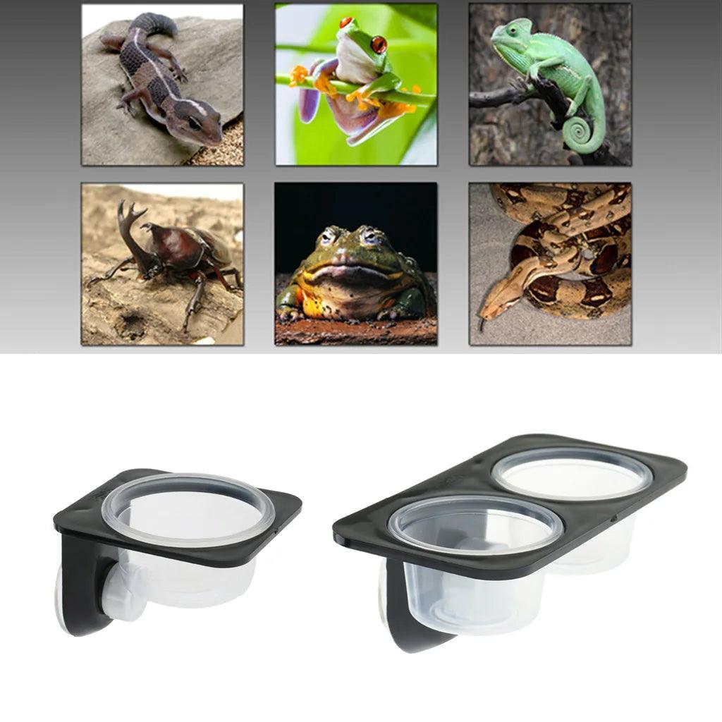 Reptiles & Amphibians Lizard Gecko Suction Cup Feed Bowls Food Container with Bowl for Reptile Food and Water Feeding - Ammpoure Wellbeing