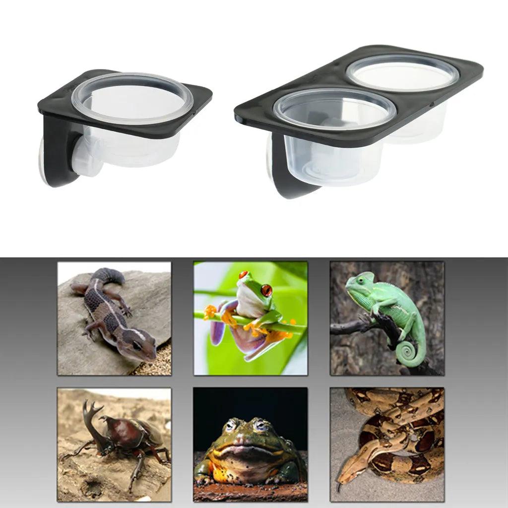 Reptiles & Amphibians Lizard Gecko Suction Cup Feed Bowls Food Container with Bowl for Reptile Food and Water Feeding - Ammpoure Wellbeing