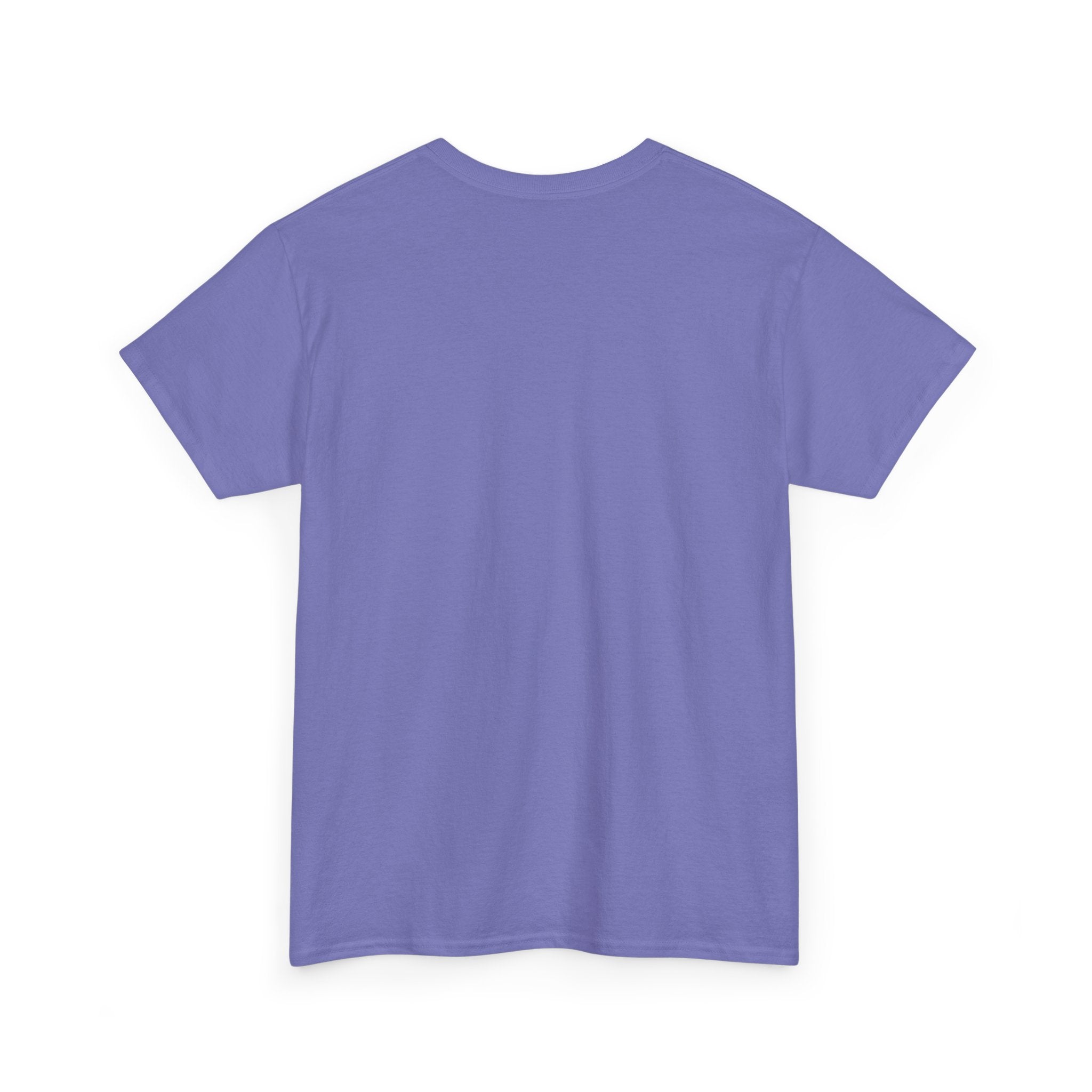 Unisex Heavy Cotton Tee - Ammpoure Wellbeing