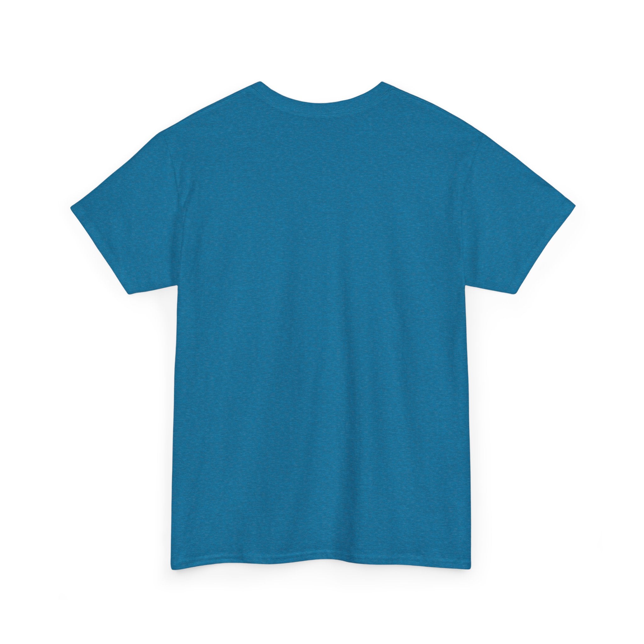 Unisex Heavy Cotton Tee - Ammpoure Wellbeing