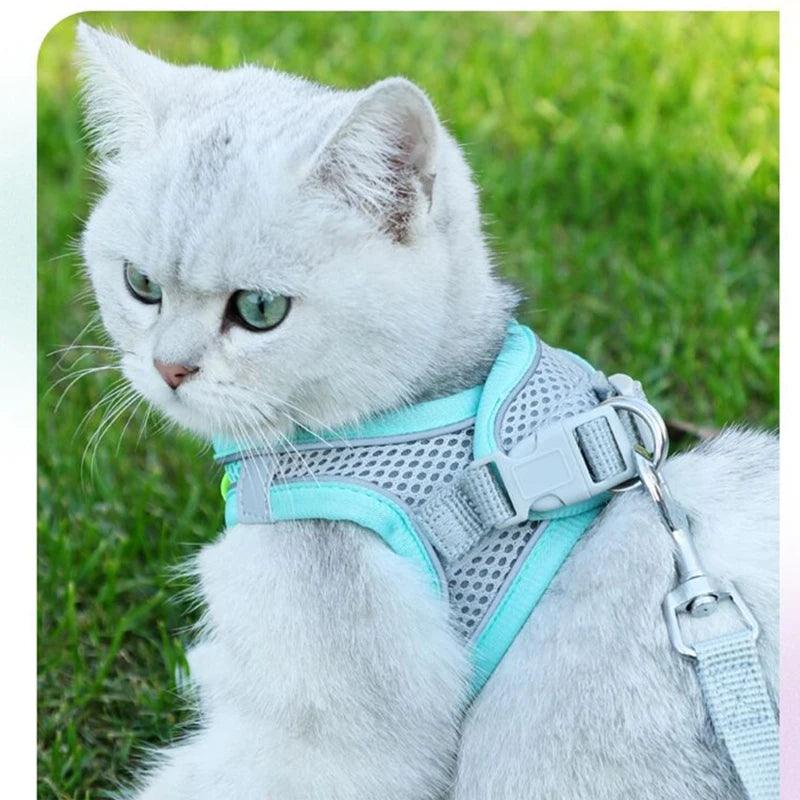 Wholesale UK Cat dog harness Pet Walking Lead Leash Small Dogs Cats Kitten XXS Bulk - Ammpoure Wellbeing