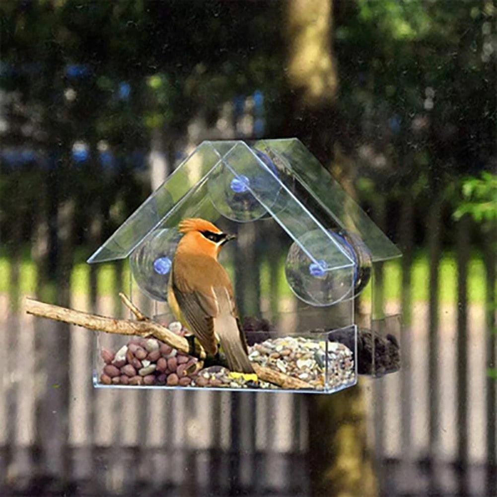 Window Bird Feeder with Strong Suction Cup Clear Acrylic Wild Bird Feeders House Hummingbird Feeders Outdoor Hanging Birdfeeders - Ammpoure Wellbeing